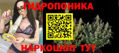 шишки Бузулук