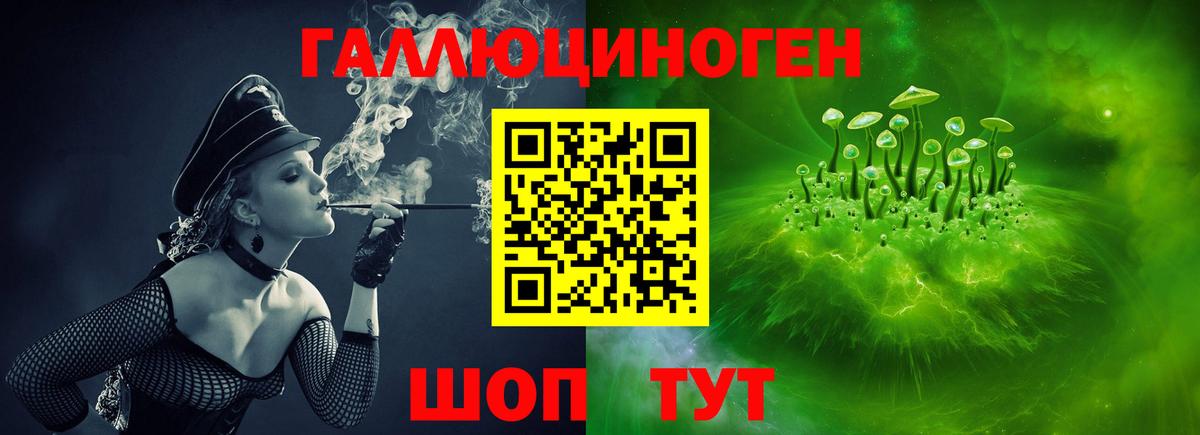 Галлюциногенные грибы Cubensis  Вход с VPN  Барабинск 